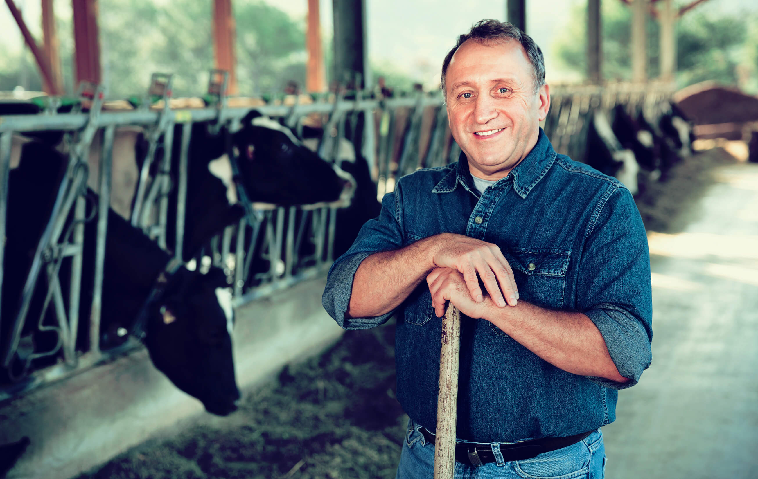 A farmer in a livestock pen